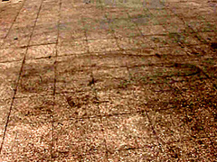 Bitch Blowing And Fucking Her Mechanic - HotEuroGirls