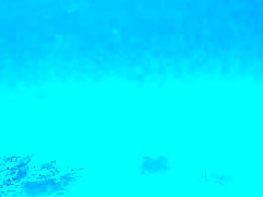 Japanese orgy in the island 1-4th