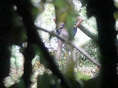 Voyeur pissing 161