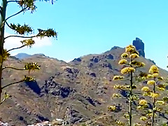 Extrem hohe plateau pantoletten am roque bentaiga