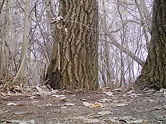 Voyeur pissing 152