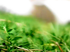 Relaxing in the park