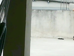 Figa spaziale brasiliana