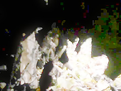 Voyeur pissing 157