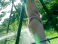 Marica hase - watering