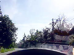 Felicia Kiss gets nasty in the backseat