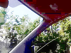 Felicia Kiss gets nasty in the backseat