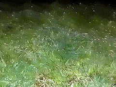 We Hid From The Rain In An Abandoned Place To Have Sex With Dirty Talk