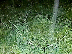 We Hid From The Rain In An Abandoned Place To Have Sex With Dirty Talk