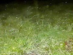 We Hid From The Rain In An Abandoned Place To Have Sex With Dirty Talk