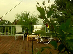 Sun Bathing Leasbian Beauties Have Hot Outdoor Sex With Toys