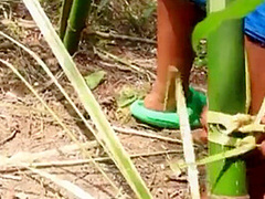 Jungle Cage Sex