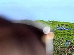 Virtual Vacation On Hawaii With Nina North Part 7