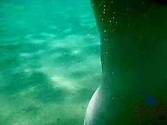 Virtual Vacation Hawaii With Anya Olsen 1/11