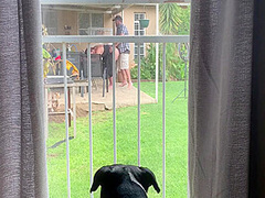 I Caught My Neighbours Fucking Outside In The Backyard 9 Min