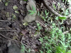 Lola And As Always Is Teasing You Outdoors