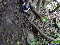 Lola And As Always Is Teasing You Outdoors