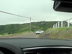 Lola And As Always Is Teasing You Outdoors