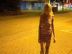 Cute Blonde Gets Fucked On The Side Of The Road!!