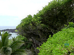 Virtual Vacation Hawaii With Kate England 1/9