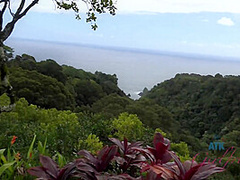Virtual Vacation Hawaii With Kate England 1/9