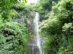 Virtual Vacation Hawaii With Kate England 1/9