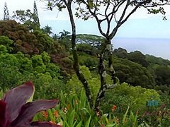 Virtual Vacation Hawaii With Kate England 1/9