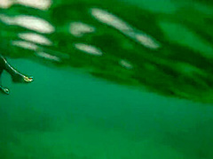 Hottest Xxx Video Outdoor Crazy Youve Seen