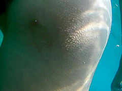 Hottest Xxx Video Outdoor Crazy Youve Seen