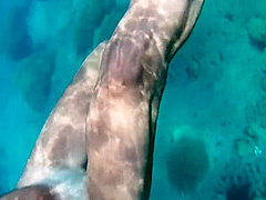 Hottest Xxx Video Outdoor Crazy Youve Seen