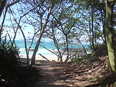 Virtual Vacation In Kauai With Lily Adams Part 1