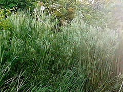 My Girlfriend And I Masturbate Until We Cum In A Public Place - Ikasmoks