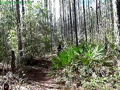 Lost In The Woods