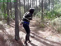 Lost In The Woods