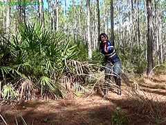 Lost In The Woods