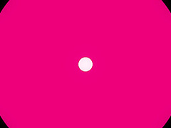 Tits Out for Lawn Care