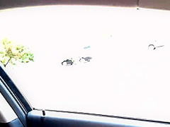 Esposa Vai Pra Rua De Vestidinho E Pede Informacoes Para Estranhos Na Rua Para Exibir Seu Decote