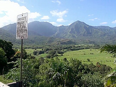 Hawaiian Virtual Vacation With Sativa Part 1