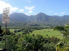 Hawaiian Virtual Vacation With Sativa Part 1