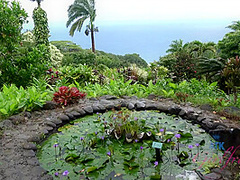 Virtual Vacation In Hawaii With Rachel James Part 4