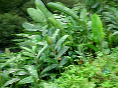 Virtual Vacation In Hawaii With Rachel James Part 4