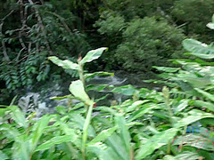 Virtual Vacation In Hawaii With Rachel James Part 4