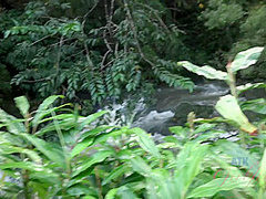 Virtual Vacation In Hawaii With Rachel James Part 4