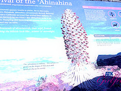 Virtual Vacation In Hawaii With Kenzie Reeves Part 6