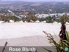 Hitcher With Hooters