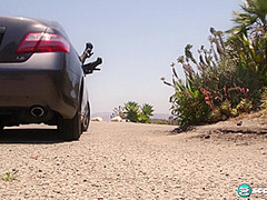 Hitcher With Hooters