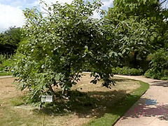 Virtual Vacation In London With Rachel James 7/10