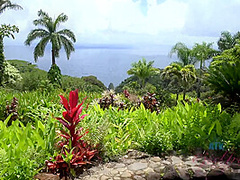 Virtual Vacation In Hawaii With Moka Mora Part 5