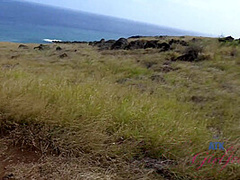 Virtual Vacation Hawaii With Olivia Lua 4/9
