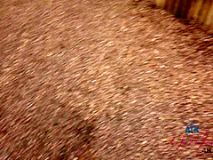 Virtual Vacation London Holly Hendrix 3/6